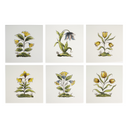 Wild Flower tegel set | 6 tegels