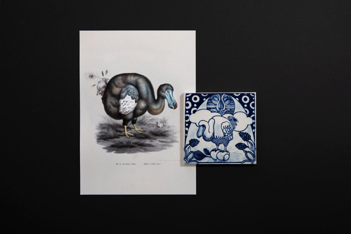 Tile Extinct Animals Dodo Pavone