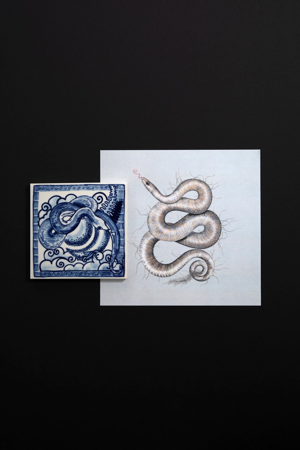 Tile Extinct Animals Queen Cobra