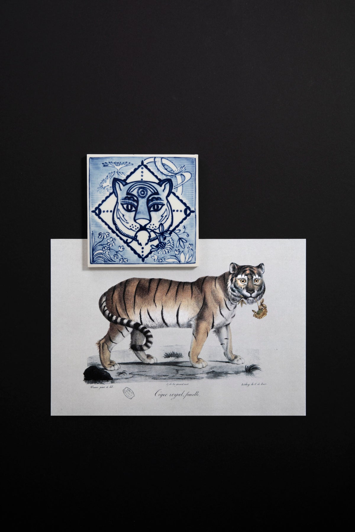 Tile Extinct Animals Golden Tiger