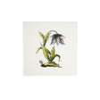 Tegel Wild Flower 08