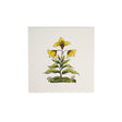 Tegel Wild Flower 10