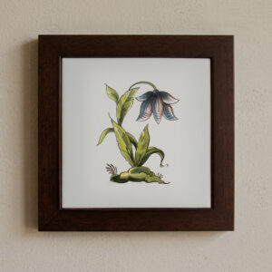 Tegel Wild Flower 08 Set